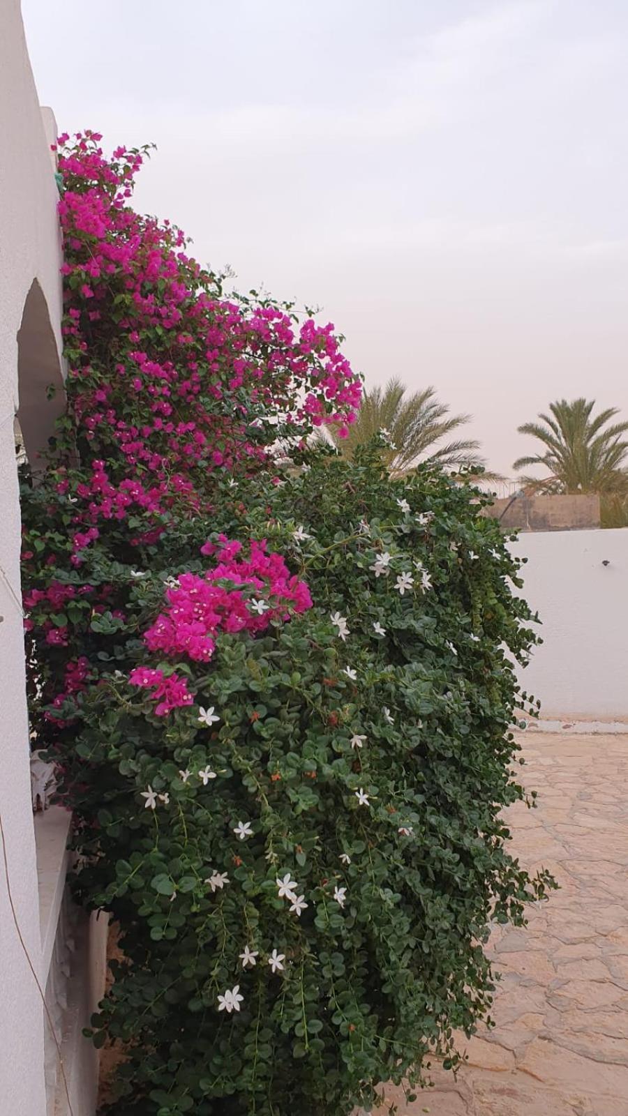 Residence Nour 두즈 외부 사진